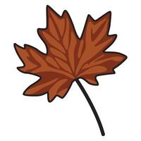 A drawing of a detailed maple leaf, showcasing its natural shape and texture. vector