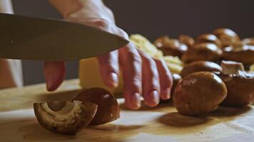 Chef uses sharp knife to carefully cut brown mushroom in half, placing it on wooden cutting board. They then divide mushroom into thinner slices, preparing it for use in dish that includes mushrooms. video
