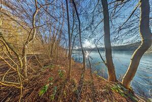 Winter view of Oberwaldsee in Moerfelden Walldorf with bare trees and sunlig0ht reflections photo