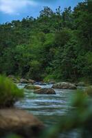 River in the middle of the forest with large stones photo