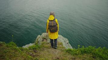 Trip To Edge Of Earth, Solitude In Nature, Back View Of Woman Standing On Cliff Above Ocean video