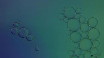 Oil bubbles movement abstract background. A motion of clear oil bubbles floating in colors liquid. Relaxing and artistic visual experience background. symbolizing fluidity science from oil and water video