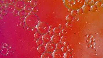 Oil bubbles movement abstract background. A motion of clear oil bubbles floating in colors liquid Relaxing and artistic visual experience background. symbolizing fluidity science from oil and water video