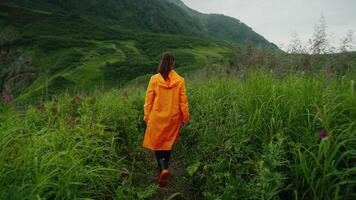 Female Scientist Geologist Or Biologist Exploring Unique Natural Park In Kamchatka Region, Rear View video