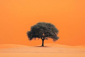 Lone tree standing in desert with orange sky photo