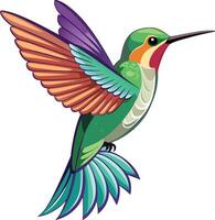 Colorful Hummingbird Feeding Available on EPS File vector