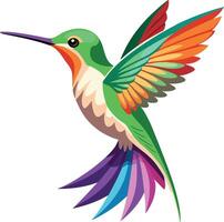 Elegant Hummingbird in Motion Available on EPS File vector