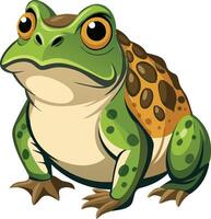 Curious Toad Available on EPS File vector