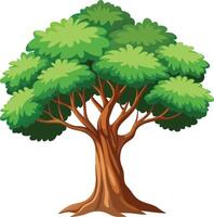 Towering Pine Tree Available on EPS File vector