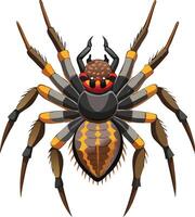 Realistic Spider Available on EPS File vector