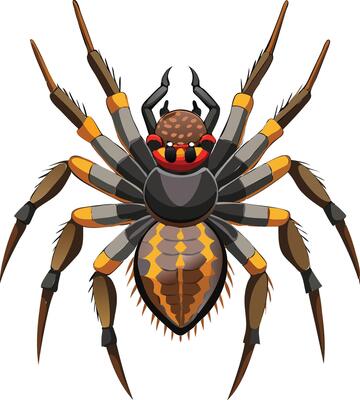 Realistic Spider Available on EPS File