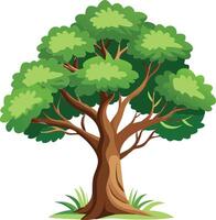 Vibrant Tree Available on EPS File vector