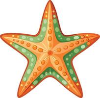 Graceful Starfish Available on EPS File vector