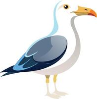 Coastal Seagull Available on EPS File vector