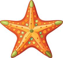 Oceanic Starfish Available on EPS File vector