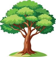 Giant Redwood Tree Available on EPS File vector