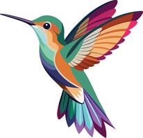 Graceful Hummingbird in Flight Available on EPS File vector