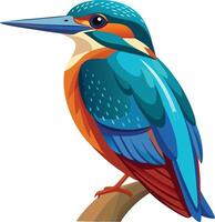 Kingfisher Flying Over Water Available on EPS File vector