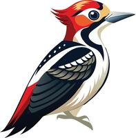 Dynamic Woodpecker Available on EPS File vector