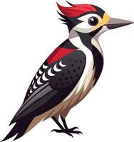 Striking Woodpecker Available on EPS File vector