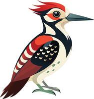 Wild Woodpecker Available on EPS File vector