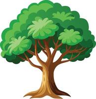 Towering Tree Available on EPS File vector