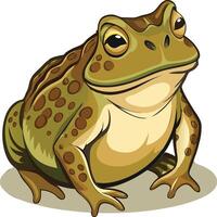 Playful Toad Available on EPS File vector