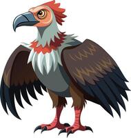 Expressive Vulture Available on EPS File vector