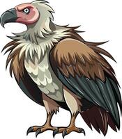 Wild Vulture Available on EPS File vector