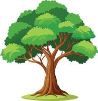 Majestic Tree Available on EPS File vector