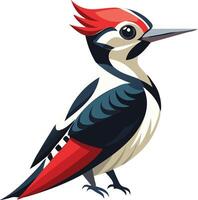 Energetic Woodpecker Available on EPS File vector