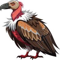 Fierce Vulture Available on EPS File vector