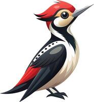 Fascinating Woodpecker Available on EPS File vector