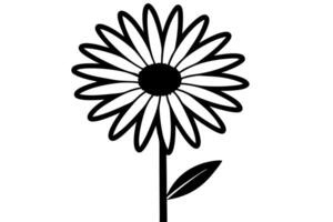 Daisy Bloom Outline in Elegant Style vector
