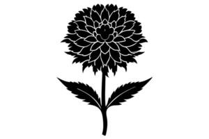 Detailed Marigold Blossom in Fine Line Art vector