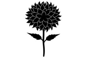 Soft and Elegant Marigold Floral Rendering vector