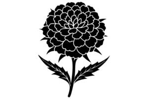 Delicate Marigold Petals in Black and White vector