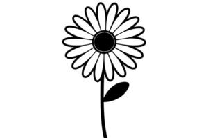 Daisy Line Art with a Minimal Touch vector