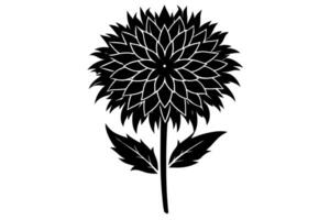Monochrome Marigold Flower Sketch vector