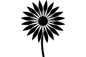 Single Daisy Flower in Monochrome Tones vector
