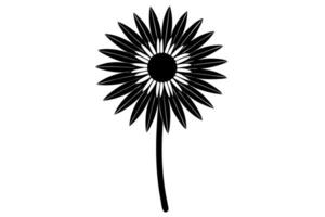 Hand Sketched Daisy in Classic Black Ink vector