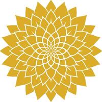 Blossom Mandala Shape Abstract Background vector