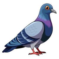 Bird with image of pigeon vector