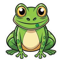 Frog isolated on a white background vector