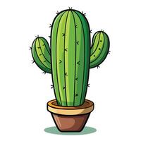 Cactus in a pot isolated on white vector