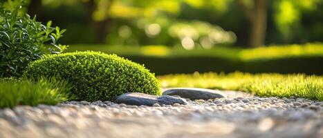 Serene garden with green moss and pebbles. photo