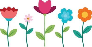 a group of colorful flowers on a white background vector