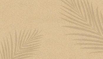 Shadow palm leaf on sand texture for summer background,Top view Beige beach sand with silhouette branches tropical tree leaf,Brown desert sandy texture pattern with nature shadow, light,Ground sandy vector