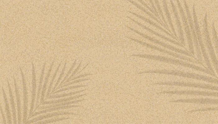 Shadow palm leaf on sand texture for summer background,Top view Beige beach sand with silhouette branches tropical tree leaf,Brown desert sandy texture pattern with nature shadow, light,Ground sandy