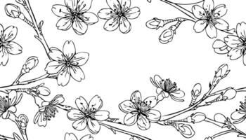 sakura hand drawn line art pattern with copy space vector